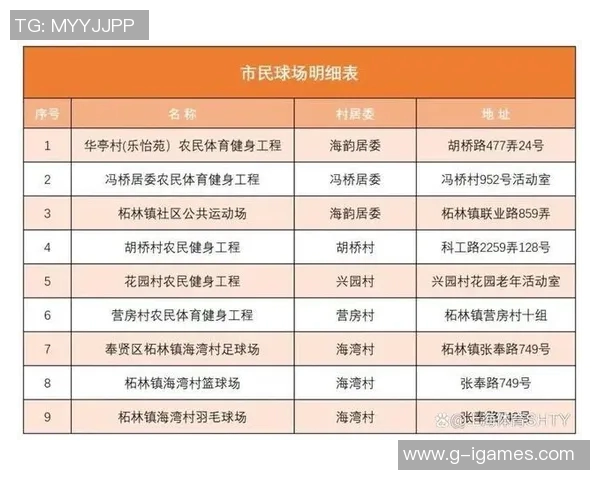 推动群众足球场建设助力全民健身与社区和谐发展新篇章